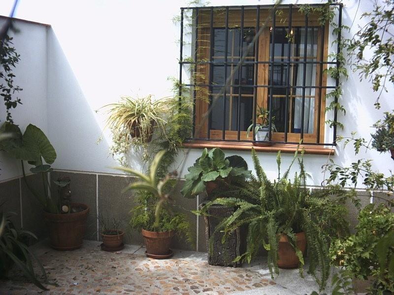 Casa Rural La Brena Talaván エクステリア 写真