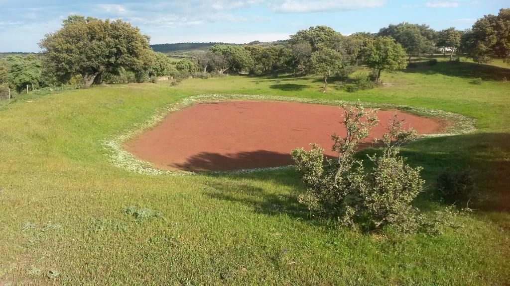 Talaván Casa Rural La Brenaゲストハウス エクステリア 写真